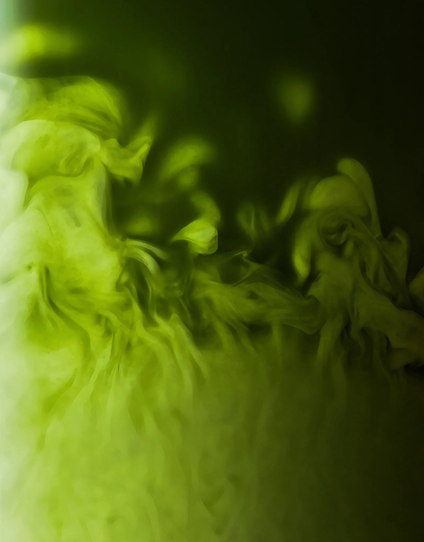 Matcha Cérémonie Vanille 30g